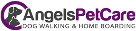 angels dog care newcastle.